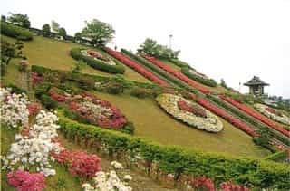 あきる野市西多磨霊園