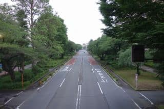 国立市大学通り