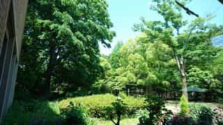 町田市イベント